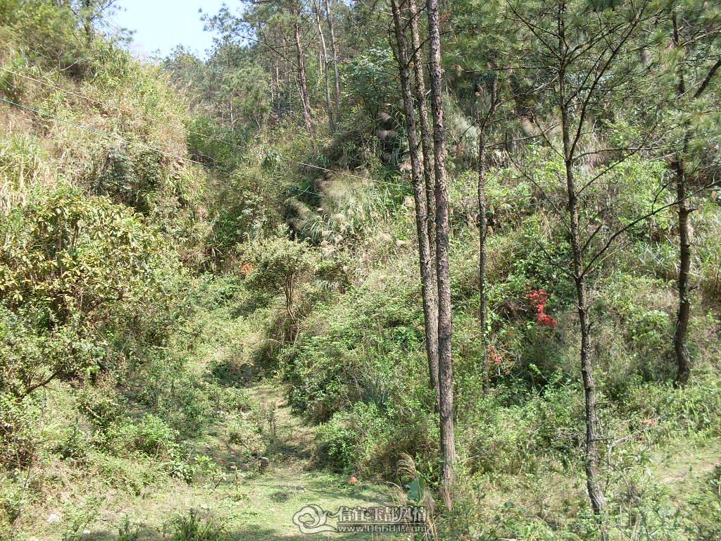SDC13268.JPG