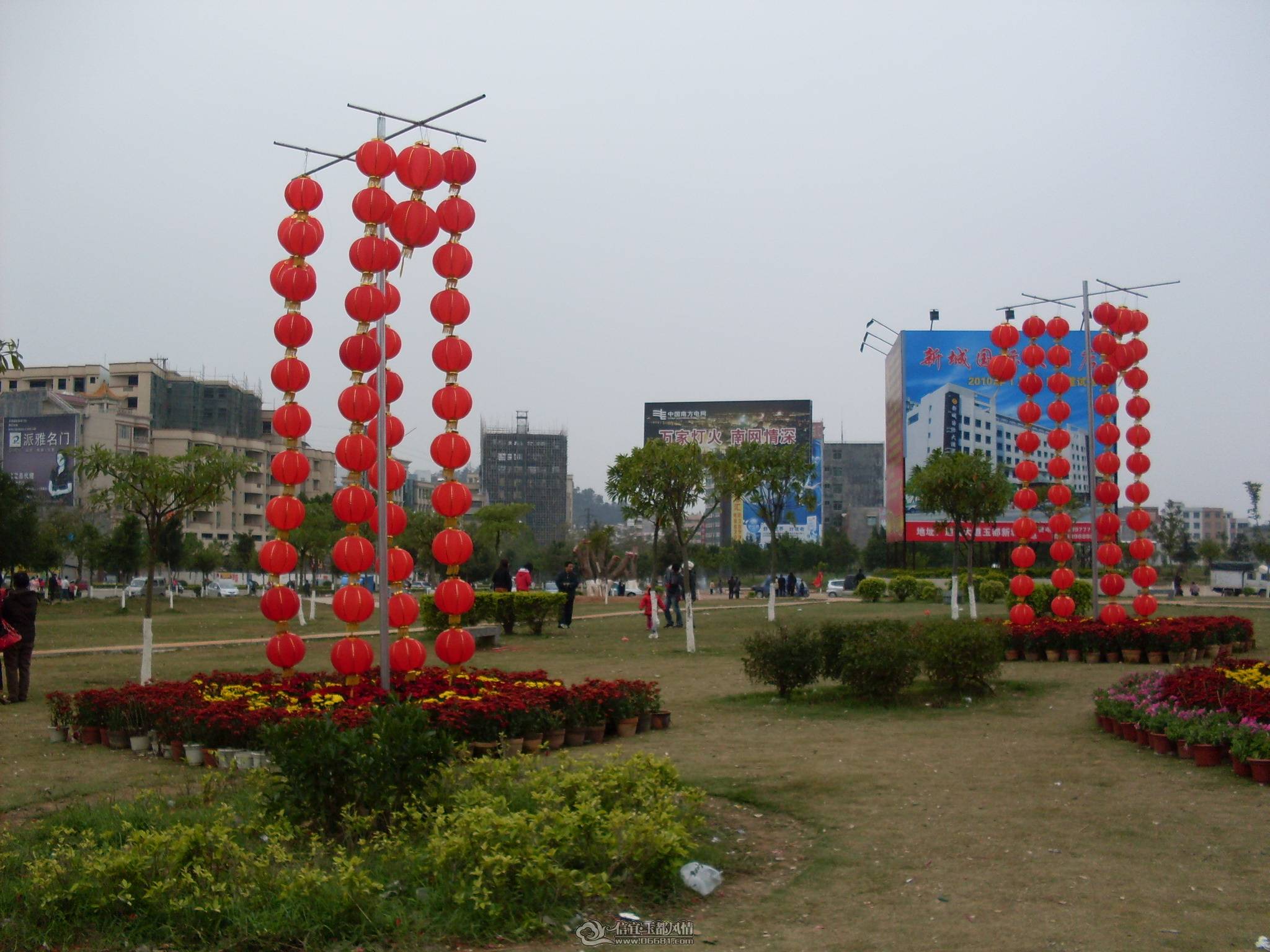 SDC11608.jpg
