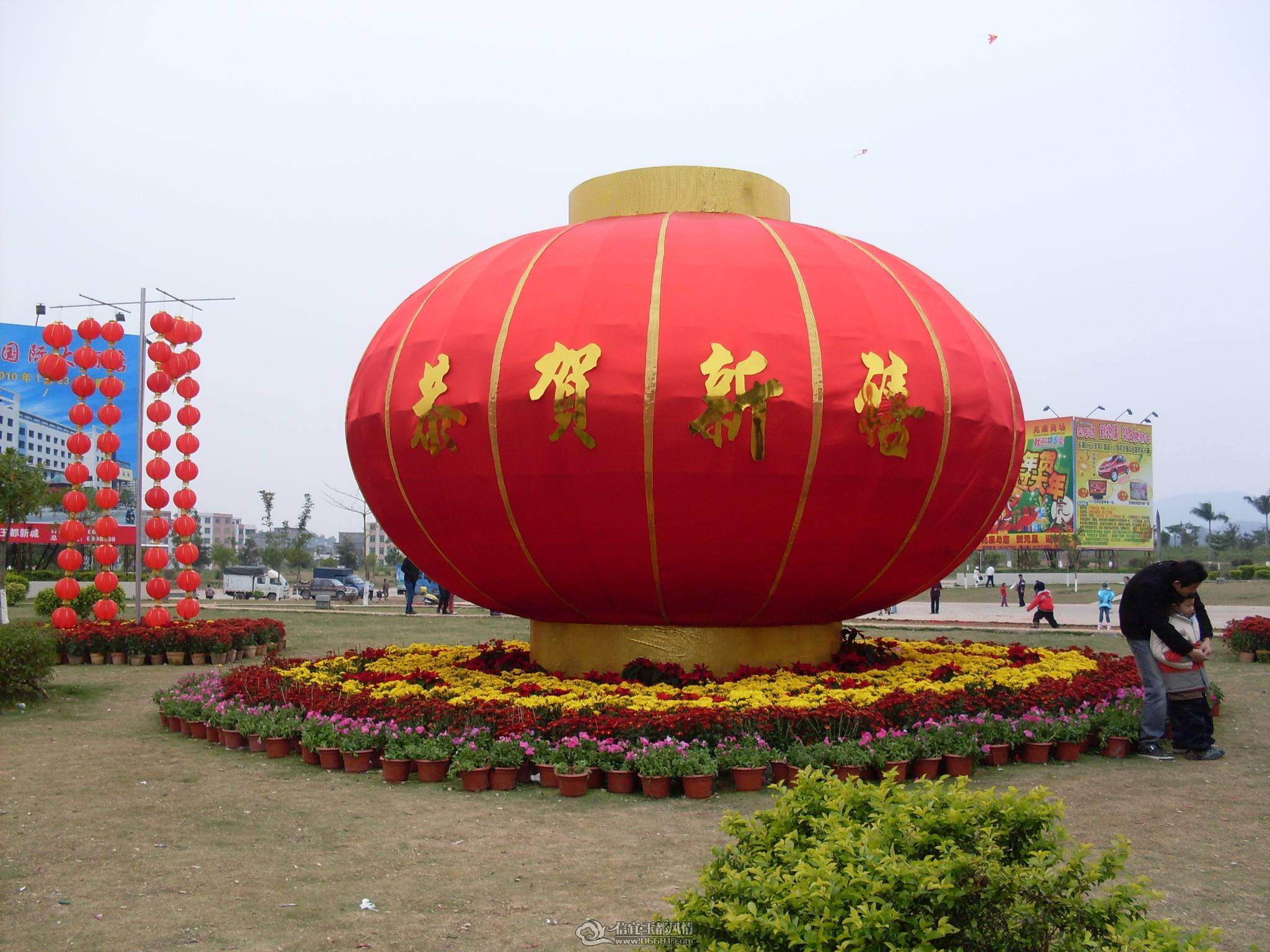SDC11607.jpg