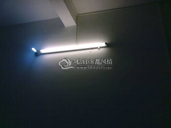 20100212264.jpg