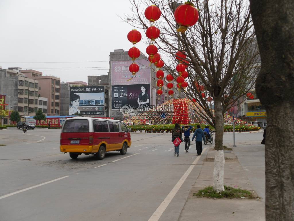 SDC10545.JPG