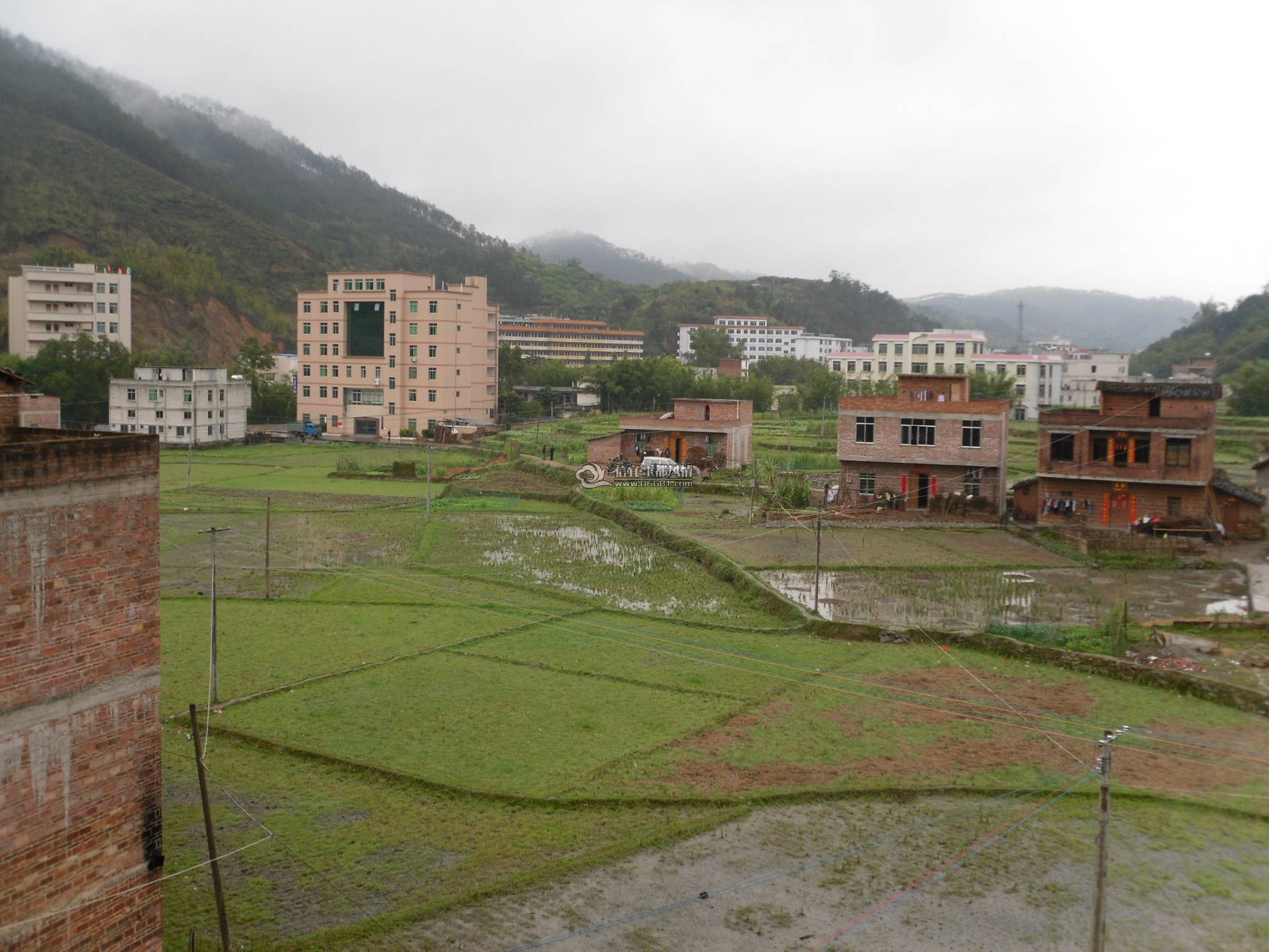 SDC10680.JPG
