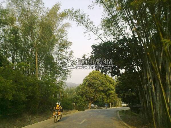20100219349.jpg