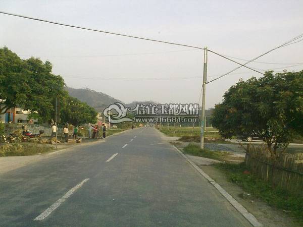 20100219351.jpg