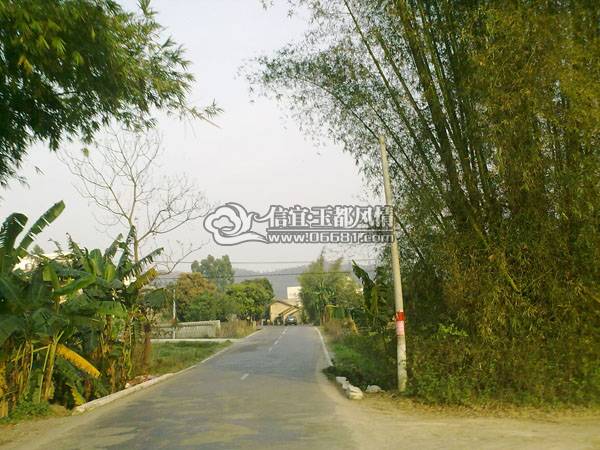 20100219350.jpg