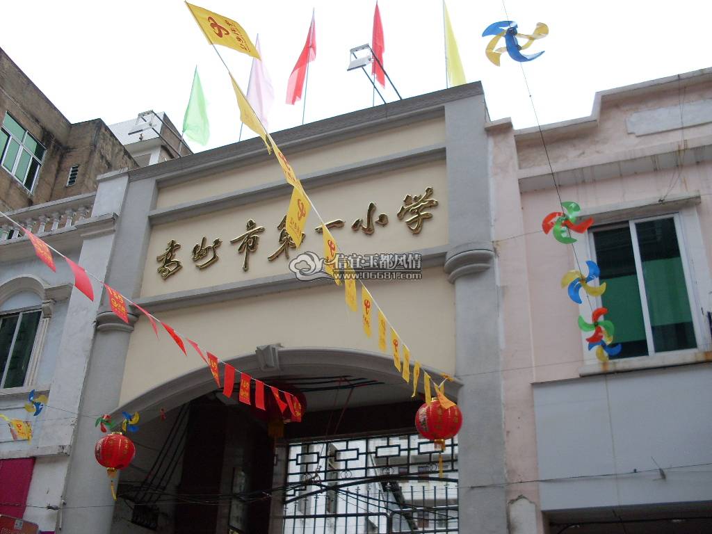 SDC13273.JPG