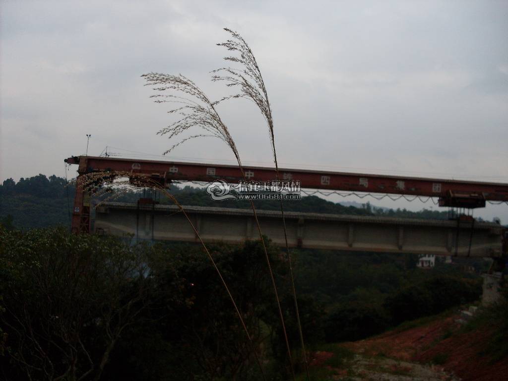 SDC13468.JPG