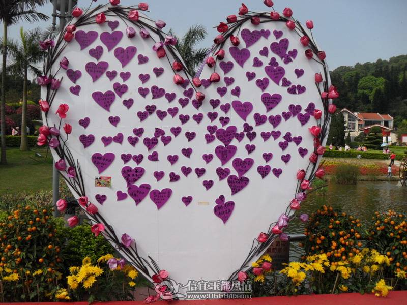 SDC10719.jpg
