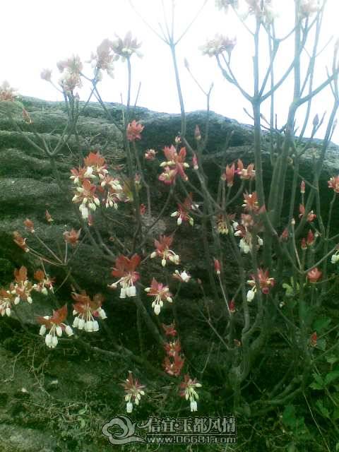Image013.jpg