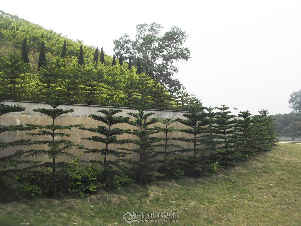 SDC10070.JPG