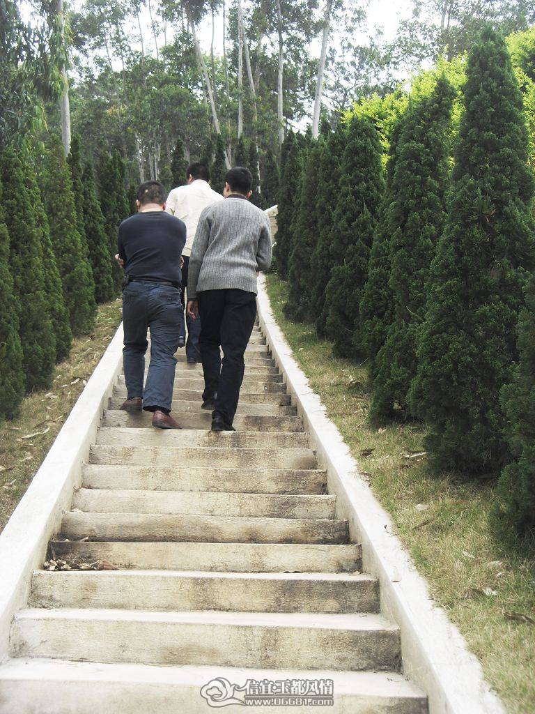 SDC10073.JPG