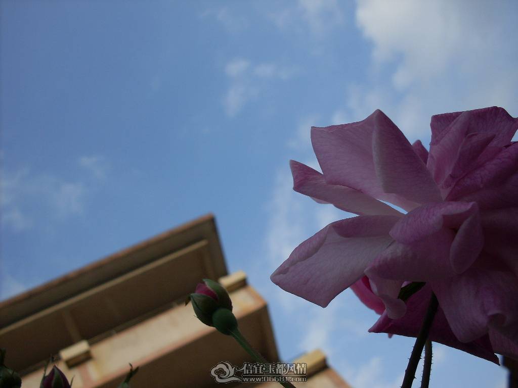 SDC12806.JPG