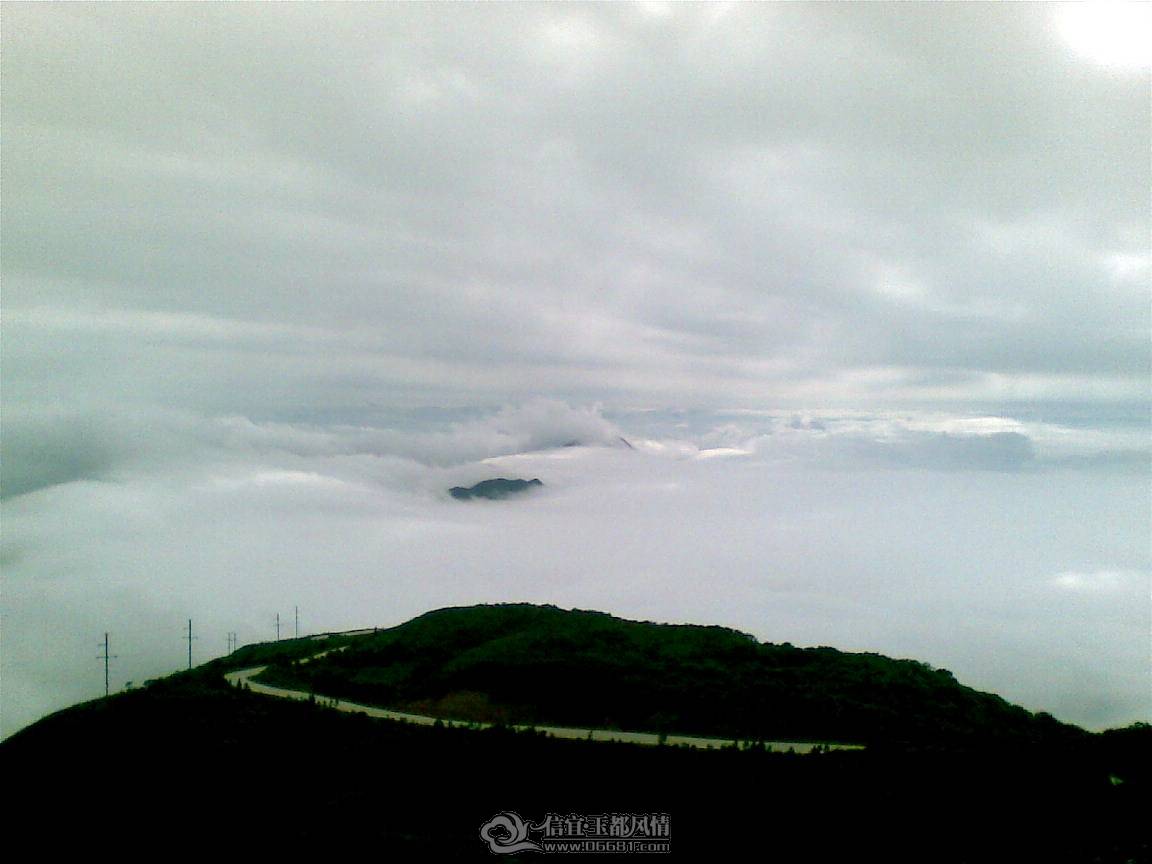 20100422(002).jpg