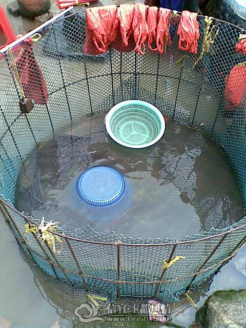 20100410(003).jpg