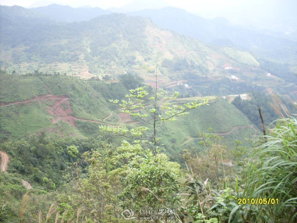 SDC14425.JPG