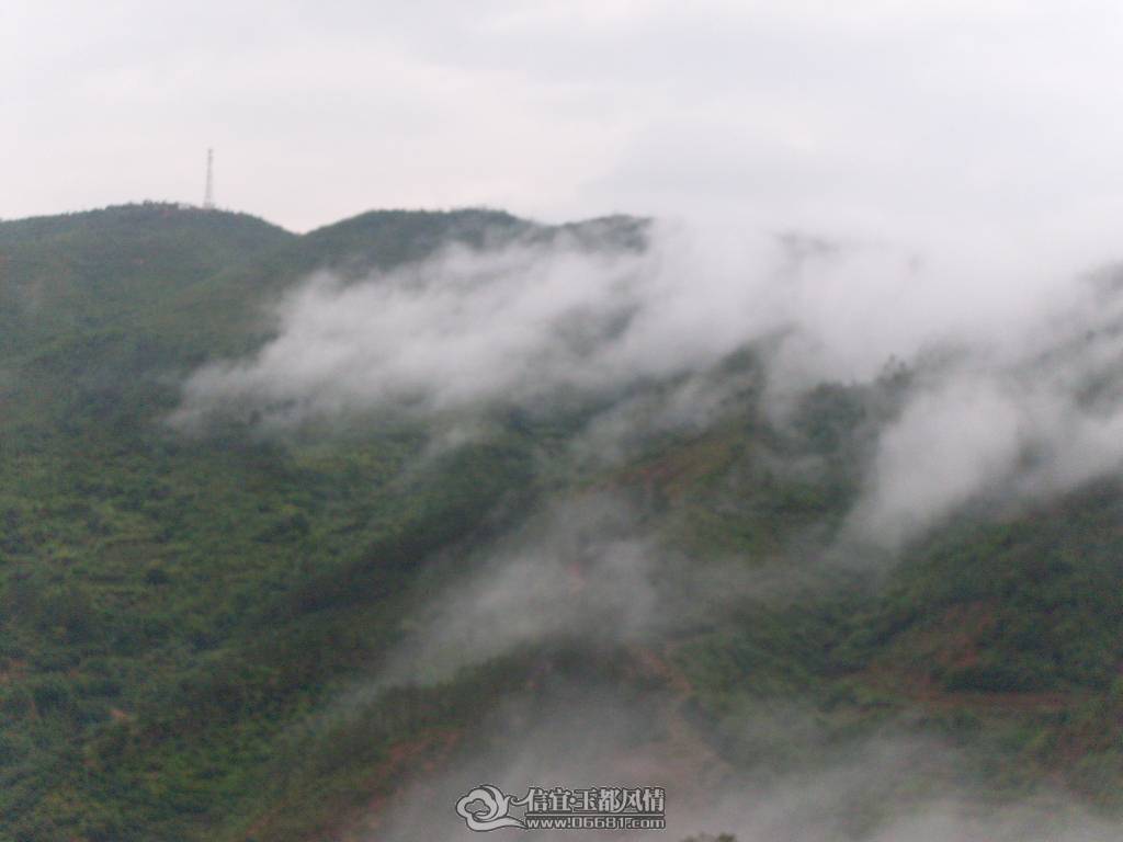 SDC10041.JPG