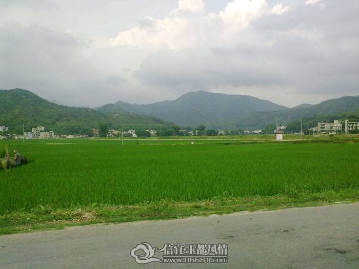 20100512675.jpg