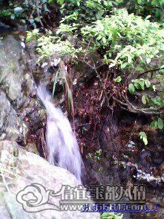 IMG0235A.jpg