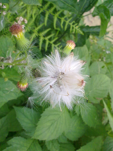 20100615840.jpg