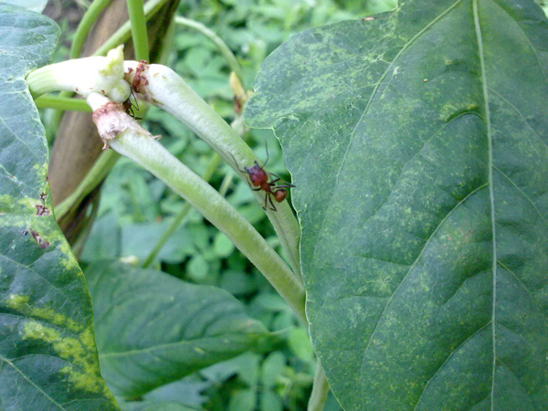 20100615834.jpg