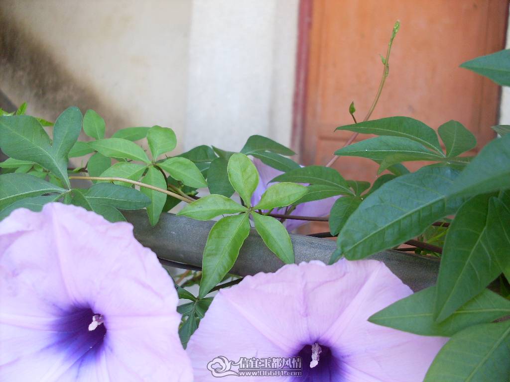 SDC10578.JPG