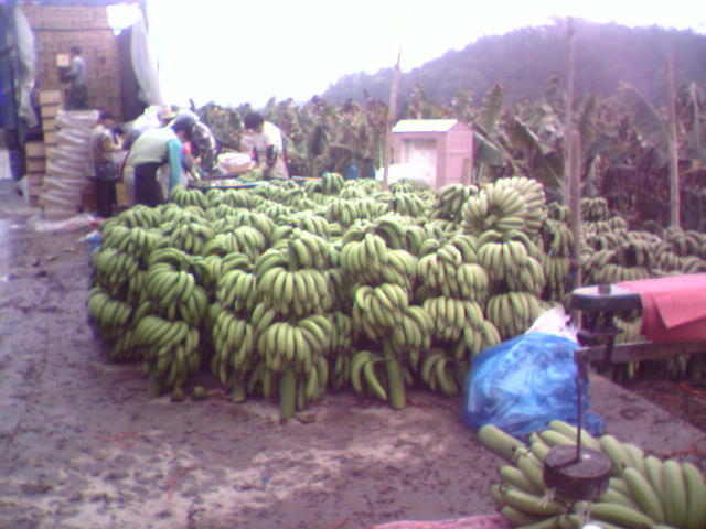 20070122154900.jpg