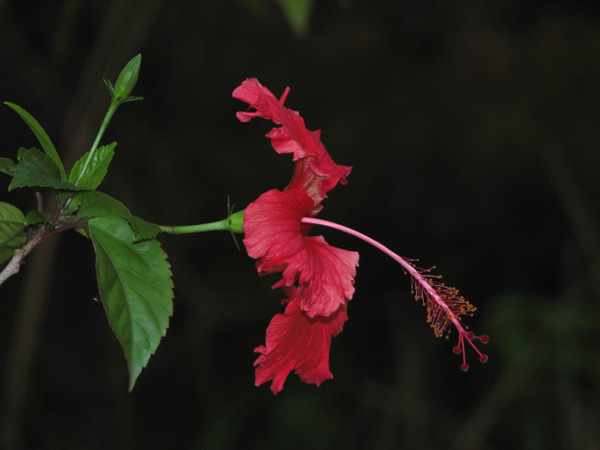 IMG_3086.jpg