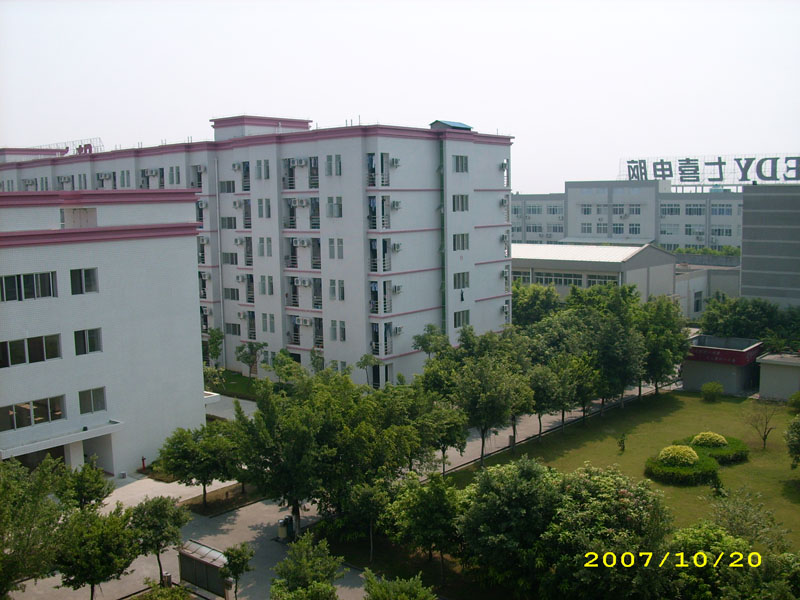 DSCI0845.jpg