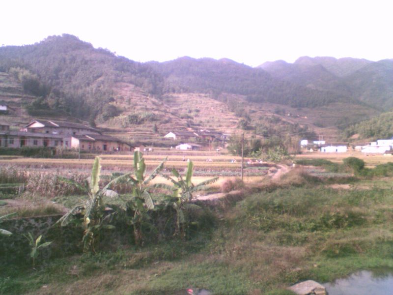 DSC_00007.jpg