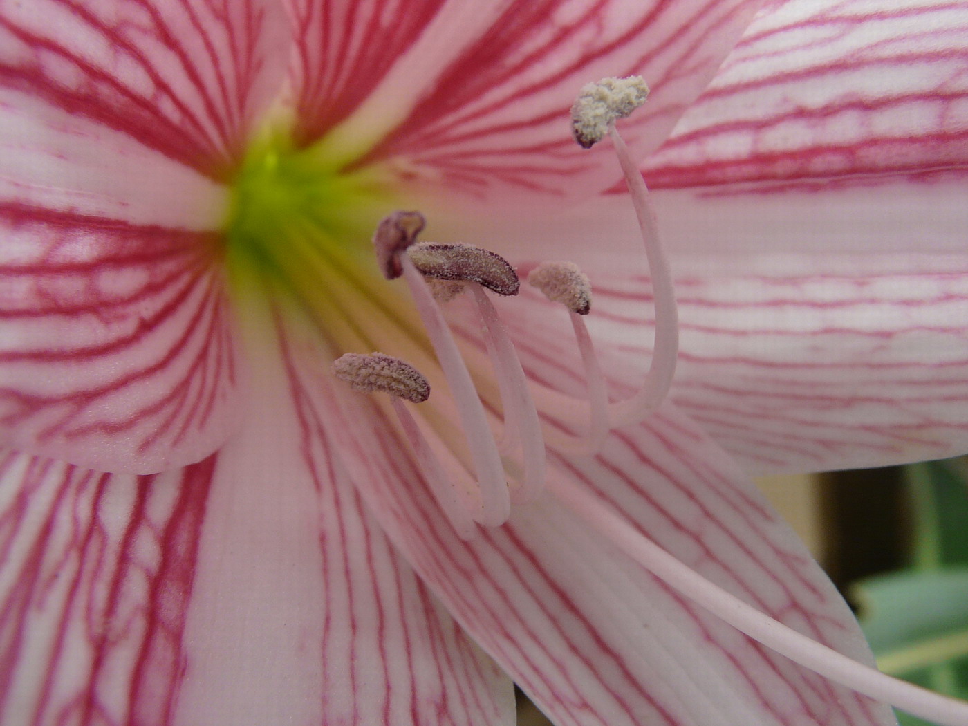 P1000238.JPG