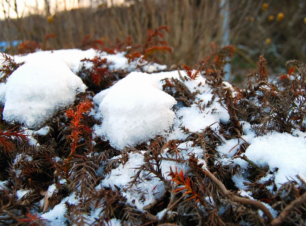 DSC_0182.JPG