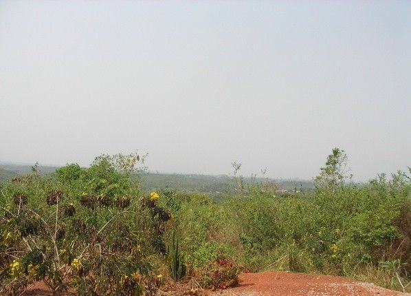 SANY0060.jpg