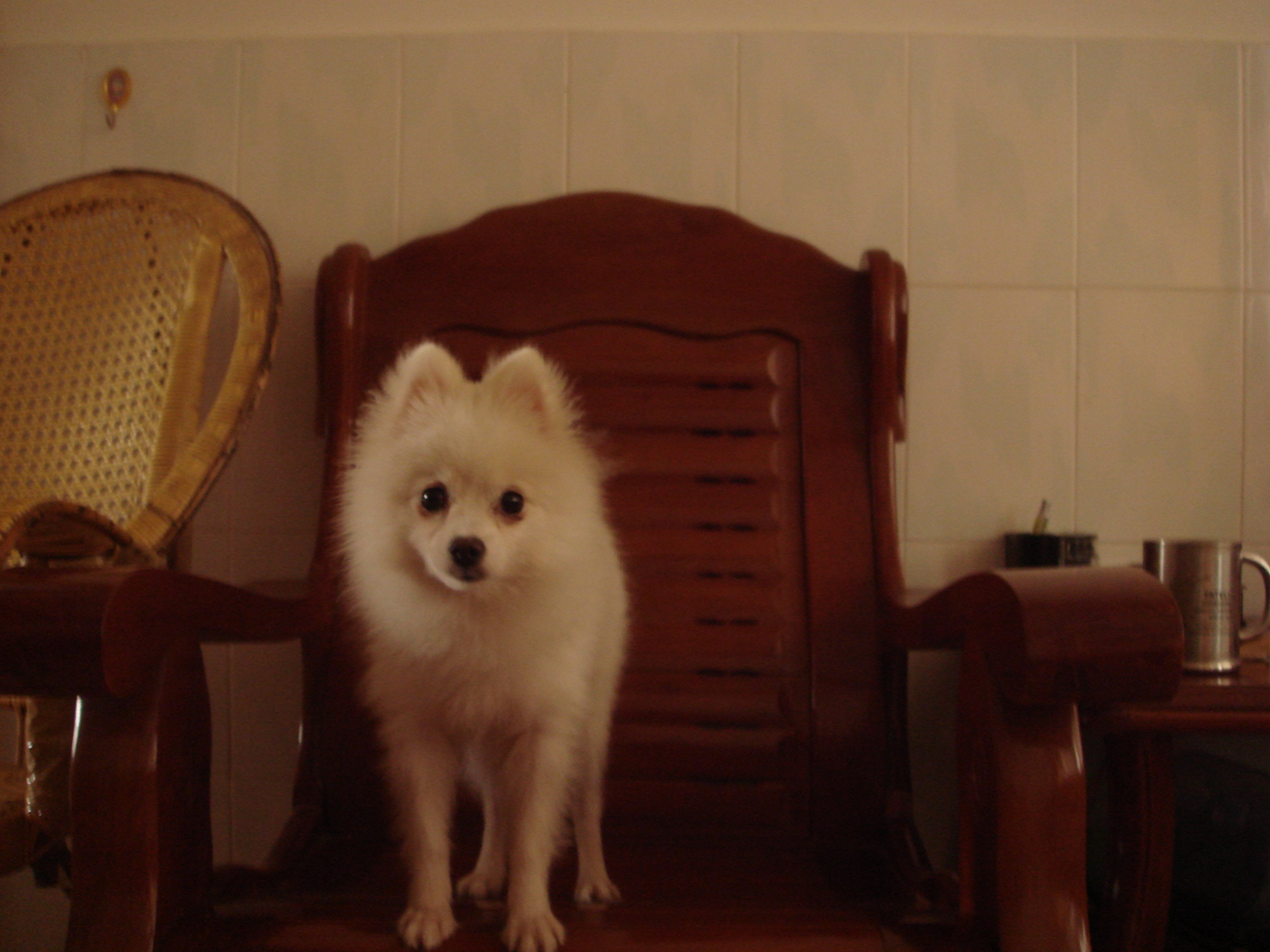 DSC01167.JPG