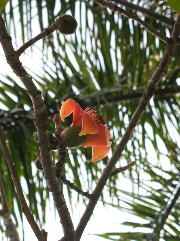 IMG_0602.jpg