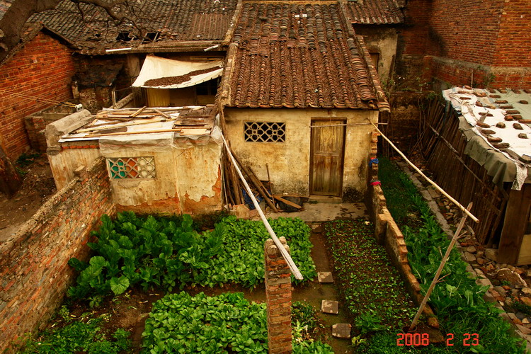 DSC01104.jpg