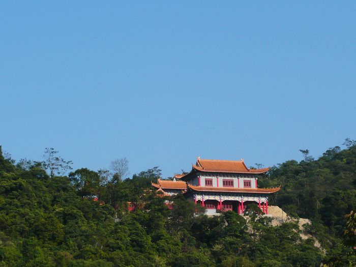 P1000589.jpg