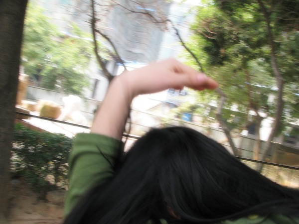DG_0304.jpg