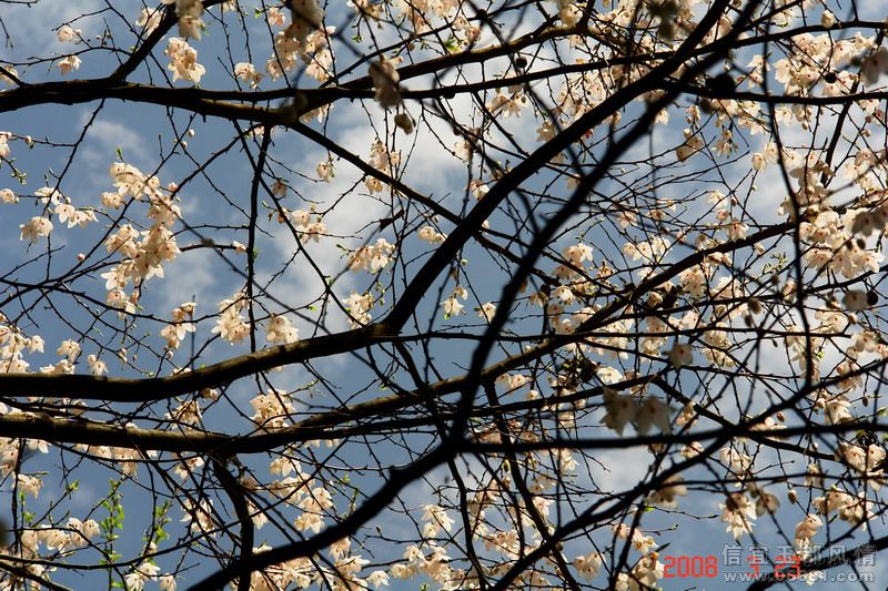 DSC02068.jpg