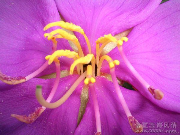 20080325_1f6d4f202ee0445bfb1catZMu1VvkLgB.jpg