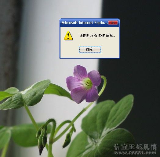 û������EXIF��Ϣ