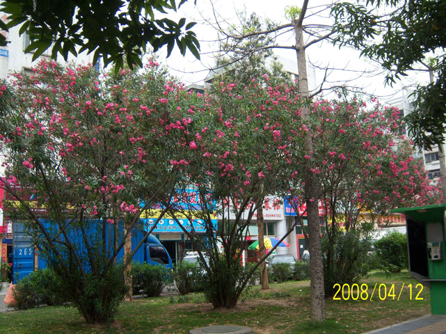 ��Ƭ��1 005.jpg