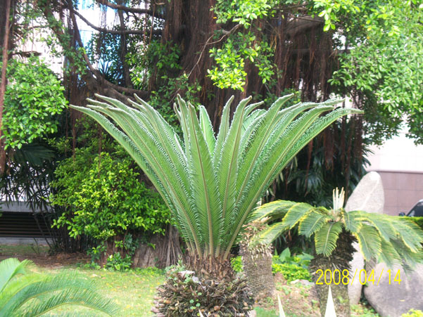 ��Ƭ��1 003.jpg
