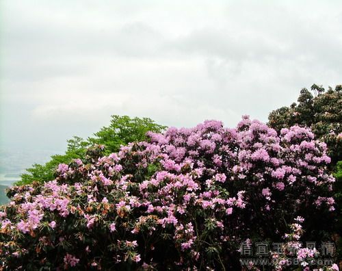 DSCN5226.jpg
