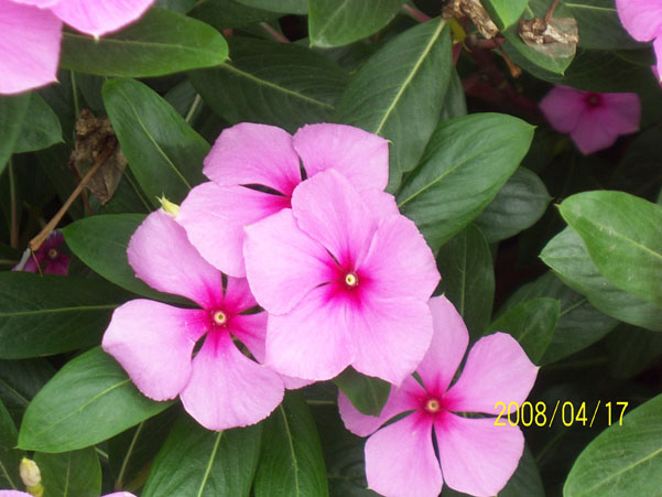 ��Ƭ 035.jpg