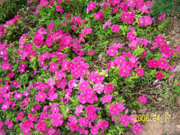 ��Ƭ 031.jpg