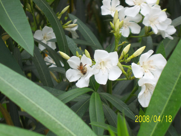 ��Ƭ 002.jpg