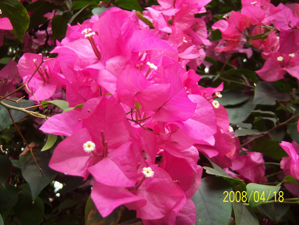 ��Ƭ 011.jpg