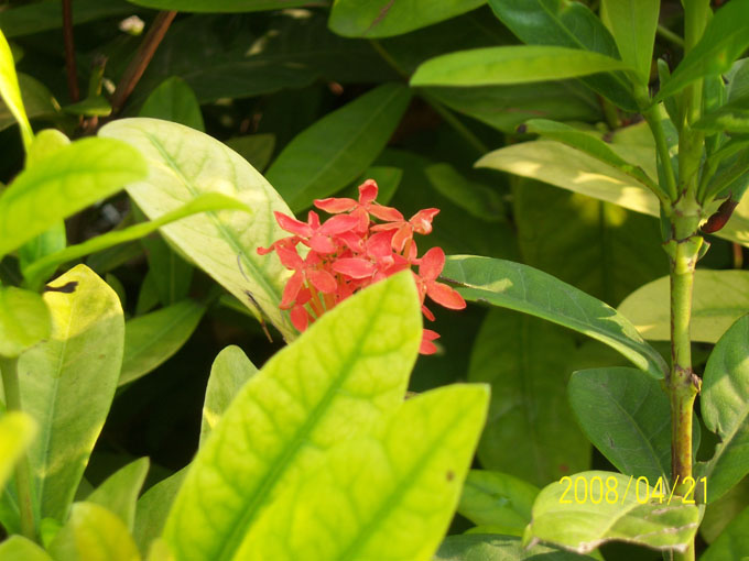��Ƭ 018.jpg