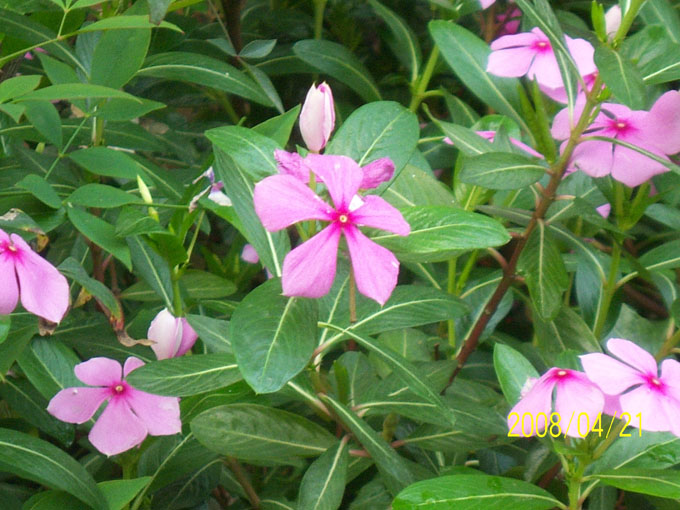 ��Ƭ 033.jpg