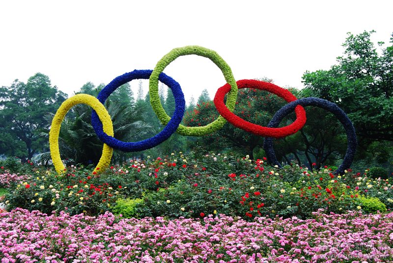�����廷.jpg